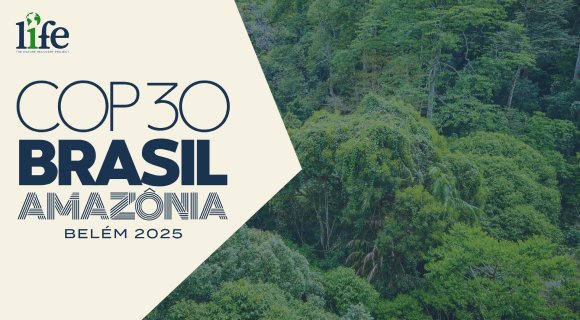 COP 30 and the Future of Rainforest Conservation: A TNRP Perspective