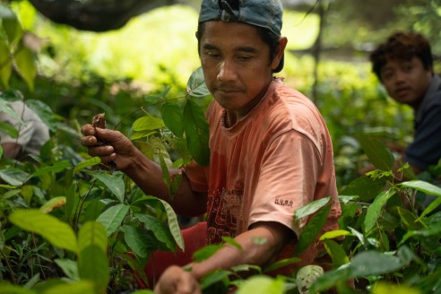 Photograph of a person in a forest