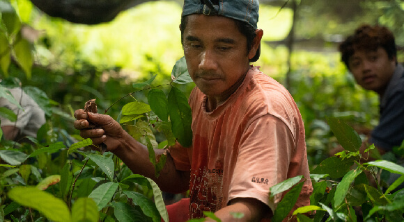 The Nature Recovery Project Funds New Cohorts for Forest conservation in Africa, Asia and Latin America