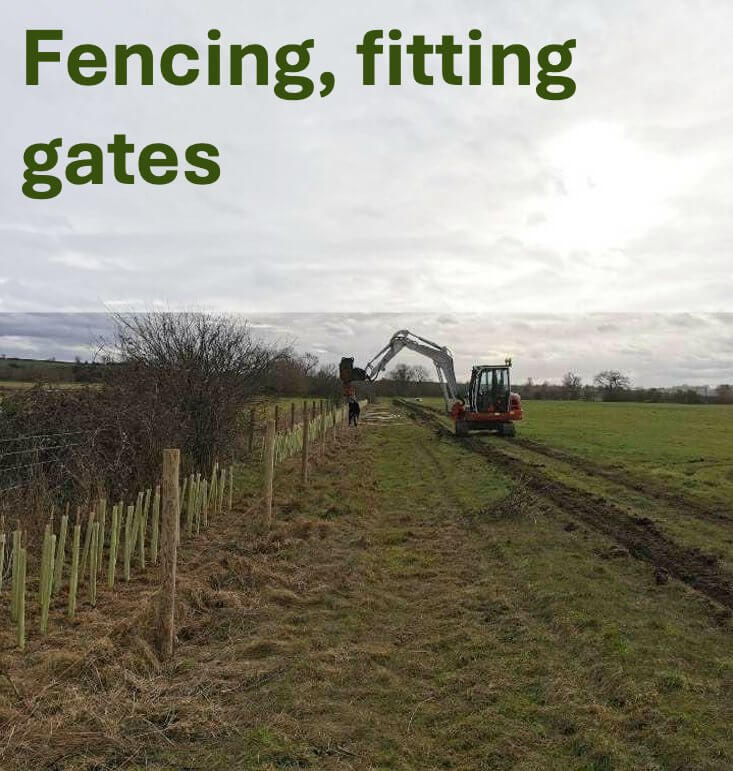 Fencing, fitting gates