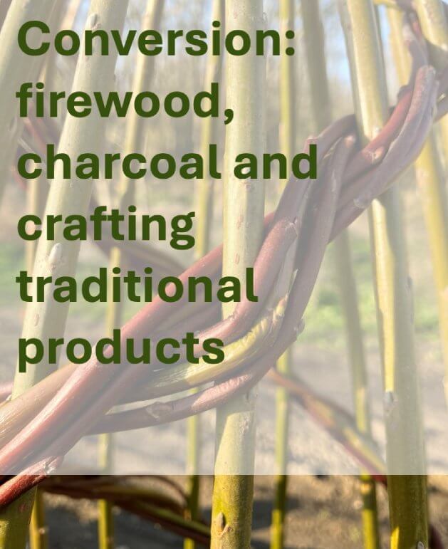 Conversion: firewood, charcoal and crafting traditional products